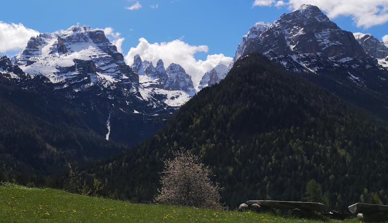 Fogajard Lovely Chalet Madonna di Campiglio Exterior photo